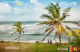 Sri Lanka Line eSim