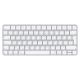 Magic Keyboard (2021) - QWERTY - Arabic -